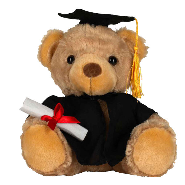 Graduation Bear 2026 Thumbnail